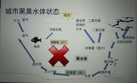 江蘇億元投資治污新技術(shù) 石墨烯能否治理黑臭水體？