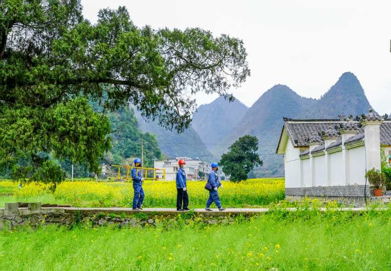 平塘供電局：“網(wǎng)格化”服務(wù)，護航“菜籃子”
