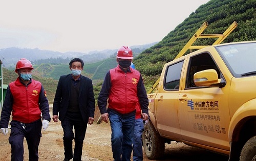 平塘供電局：“加減法”同構(gòu)服務(wù)，護航“貴州春茶第一壺”