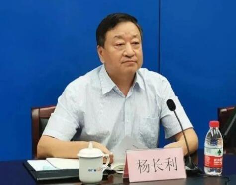 任職總經(jīng)理半年后，楊長利任中廣核董事長