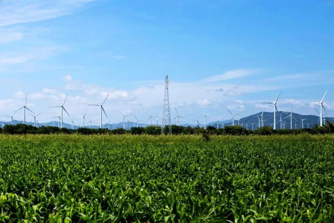收購墨西哥818MW光伏電站，國(guó)家電投境外光伏電站裝機(jī)超6GW