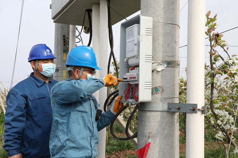 國網(wǎng)諸城市供電公司電力足，千畝梨園花正濃