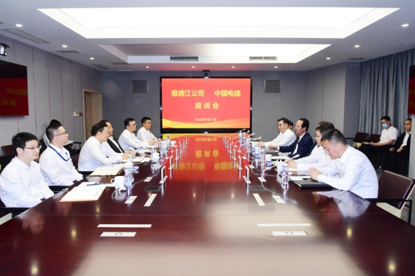 丁焰章與雅礱江公司黨委書記、董事長祁寧春座談