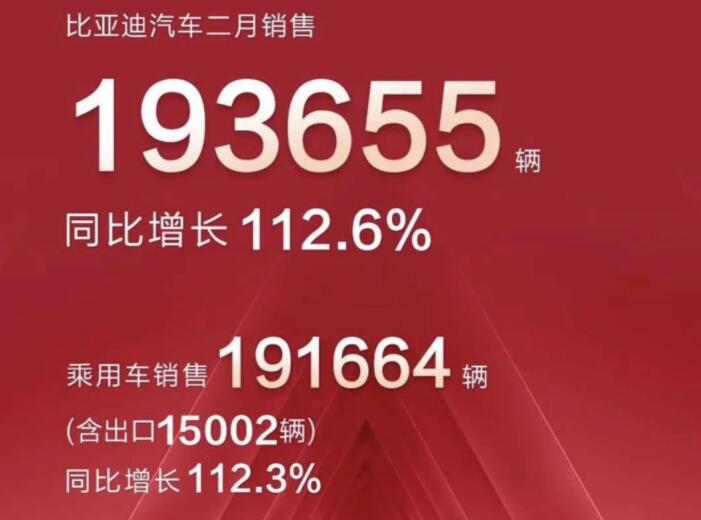 2月新能源車企成績(jī)單出爐，比亞迪一騎絕塵