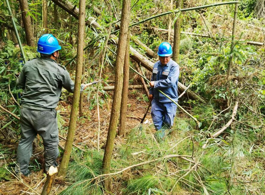 南方電網(wǎng)荔波供電局線路憂患如“猛獸”，通道清通要爭先