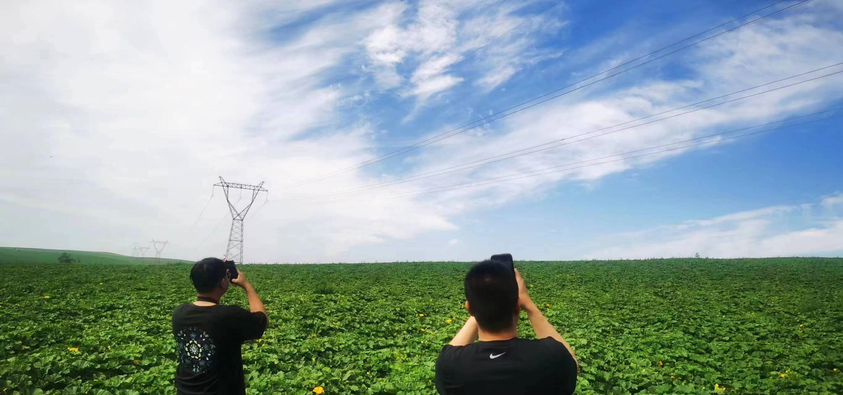 四子王輸變電管理處：防外力破壞，助安全運行