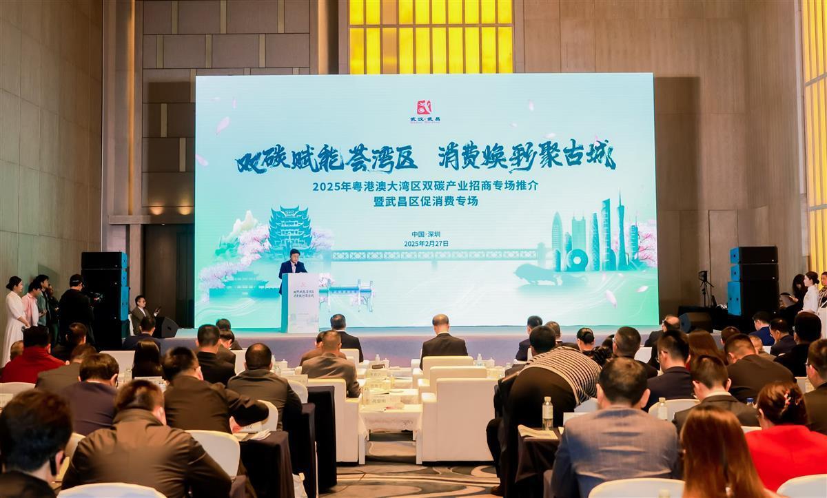 南下大灣區(qū)引來百億“綠色”項目，堅持為碳排放“買單”成新風氣